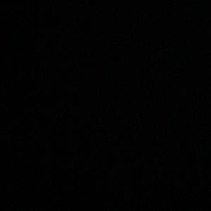 Meet your Posher, Timmy